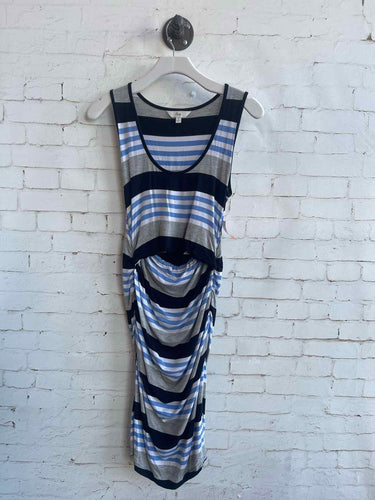 Ripe Blue Stripe Size SM CS Nursing Dresses