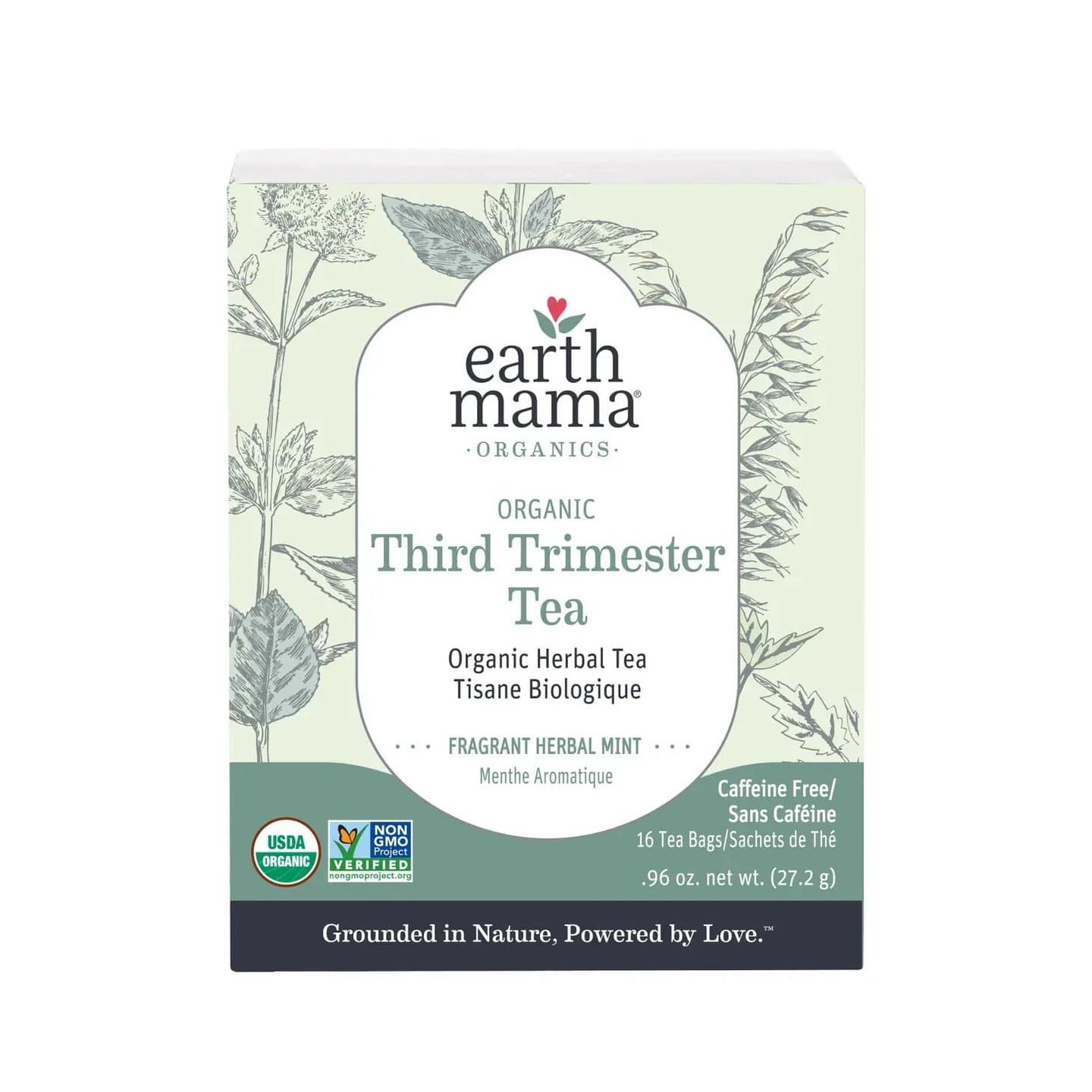 Earth Mama Organic Third Trimester Tea - 16 Pk