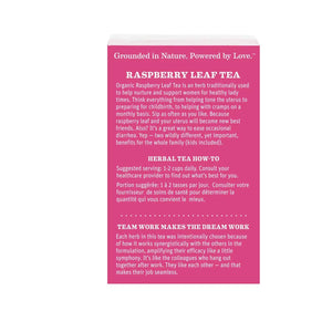 Earth Mama Organic Raspberry Leaf Tea - 16 Pk